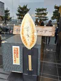 日本三景-松島（遊船+牡蠣可樂餅、烤扇貝、烤魚板）、圓通院、三慧殿