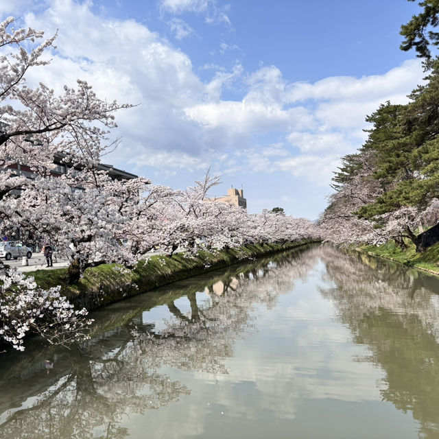 走吧！赴一場粉色之約🌸