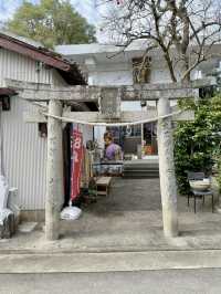 【徳島県】可愛さが散りばめられている神社