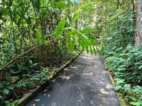 🌿 Botanic Gardens Adventure: Penang’s Green Oasis of Monkeys & Magic!  