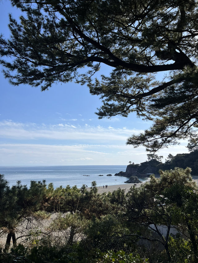【高知】毎年訪れる私が提案する1Dayプラン✨