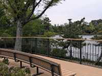 【東京】神社や季節の花を見ながらボートに乗れる洗足池公園