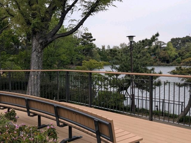 【東京】神社や季節の花を見ながらボートに乗れる洗足池公園