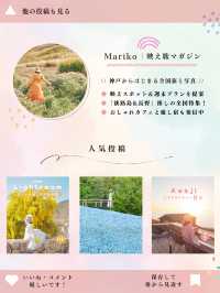 映えオブジェ６選🍠🧅🥦🍏🎃😋