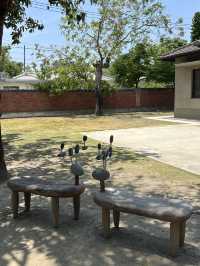 再見捌捌陸-臺灣眷村文化園區