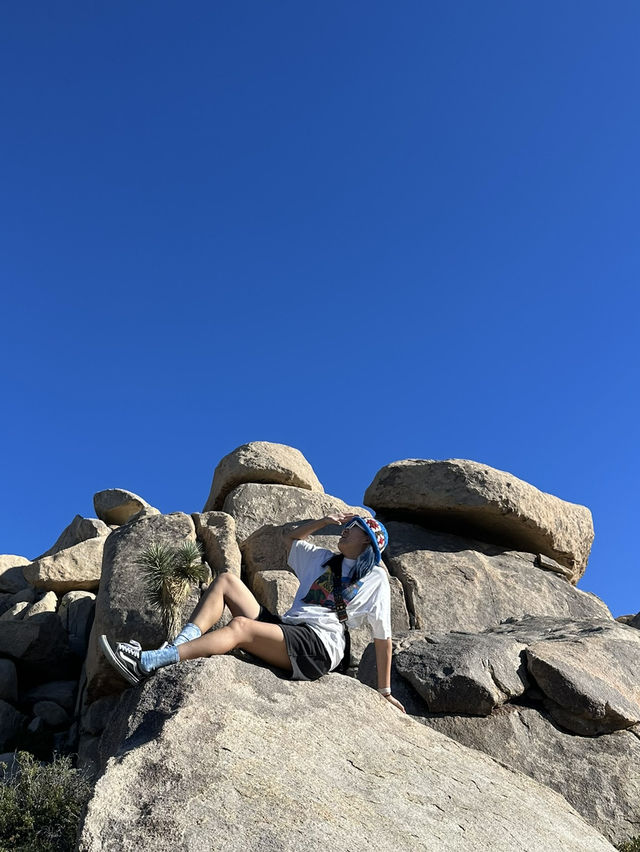 Joshua Tree 國家公園：在沙漠裡的國家公園！