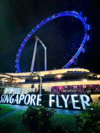 Above the City: A Breathtaking Ride on the Singapore Flyer