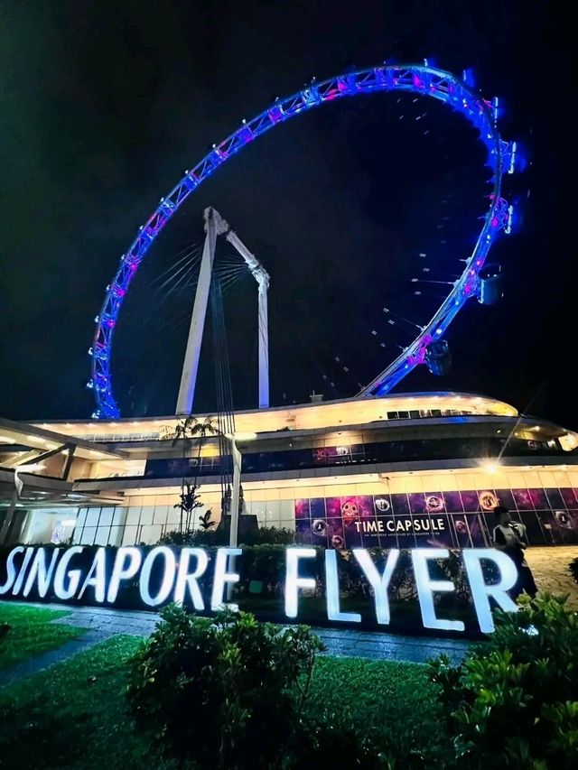 Above the City: A Breathtaking Ride on the Singapore Flyer