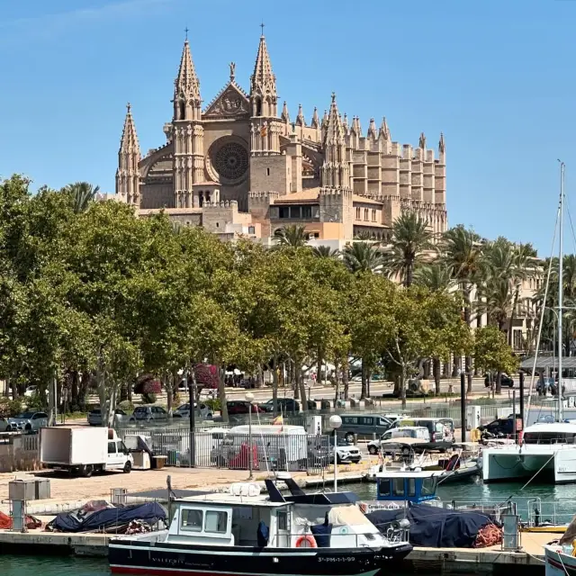 🌴 Weekend Escape to Palma de Mallorca: Sun, Sea & Spanish Charm