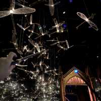 Dial M-A-G-I-C for a magical experience