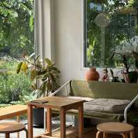 Curve project คาเฟ่สไตล์โฮมมี่ย่านดอนเมือง