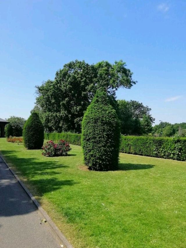 Everton Park