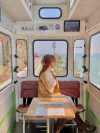 부산에서 꼭 해야할 액티비티 블루라인파크 스카이캡슐 열차🚃