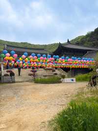 🪷부처님 오신날에 여긴 꼭 가야죠!🪷