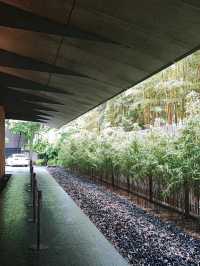 Nezu Museum: Where Art and Nature Flow Seamlessly
