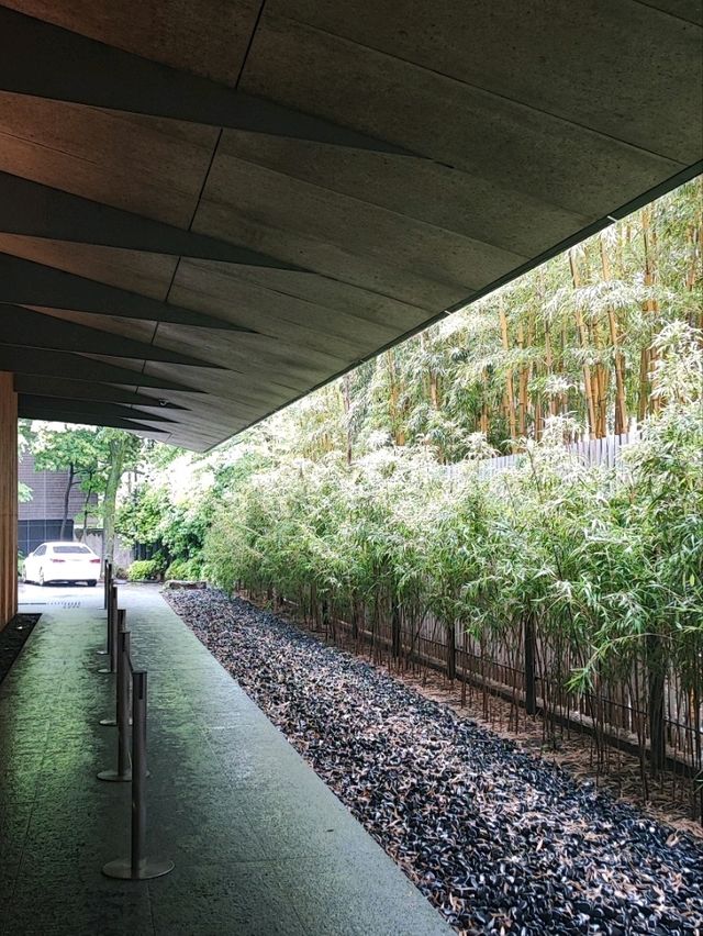 Nezu Museum: Where Art and Nature Flow Seamlessly