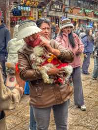 Time Slows Down: A Peaceful Spring Walk in Baisha Old Town