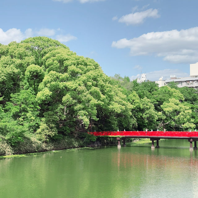 Spring Serenity at Tennoji Park