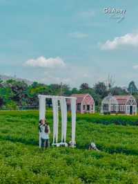 Bliss & Bloom Cafe 