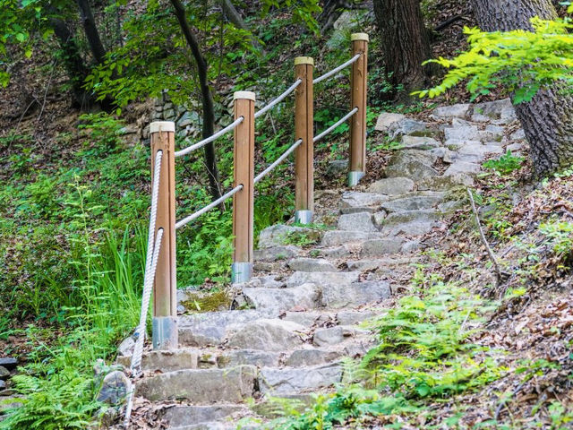 Seongbukdong Forest Bathing Area