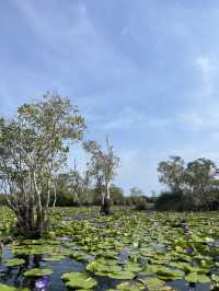 ทริประยอง 2 วัน 1 คืน – พายเรือท่ามกลางดอกบัว เดิน