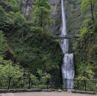 Multnomah Falls – Columbia River Gorge, OR