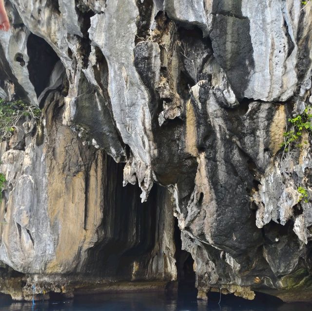 Where The Ocean Sings: Palawan Paradise