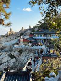 釜山海東龍宮寺｜海岸線上最美的寺廟🌊