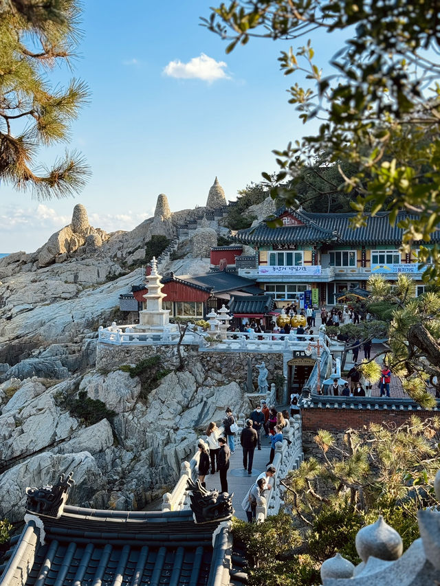 釜山海東龍宮寺｜海岸線上最美的寺廟🌊