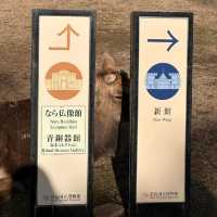 Just an Hour from Osaka: A Charming World of Deer, Temples & Tranquility