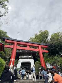 江島神社的洗錢大法⛩️