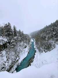 Frozen Beauty & Fairy Lights: Winter Road Trip from Asahikawa to Biei & Furano