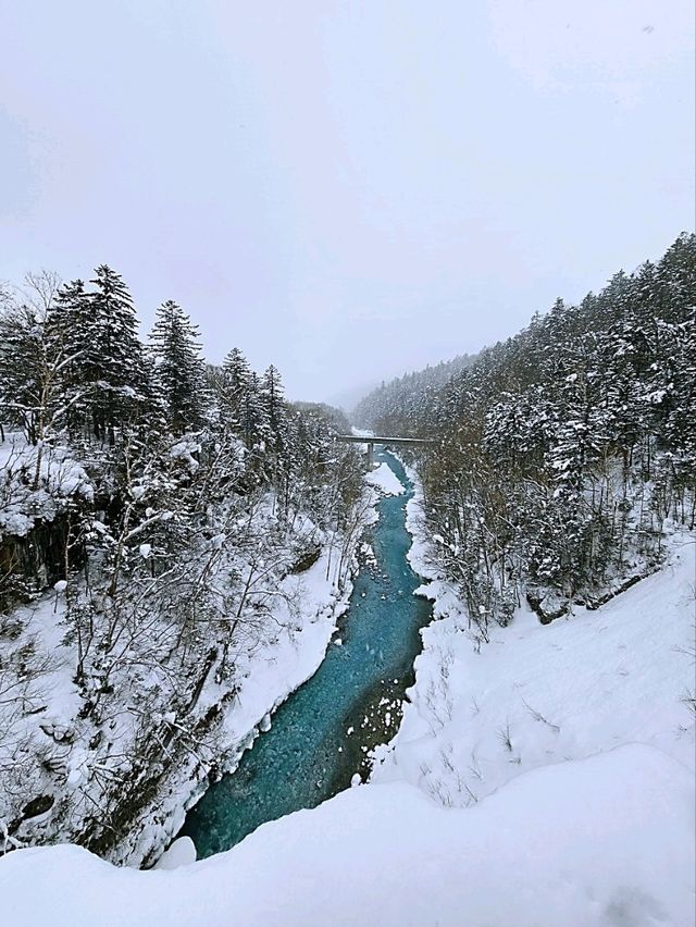 Frozen Beauty & Fairy Lights: Winter Road Trip from Asahikawa to Biei & Furano