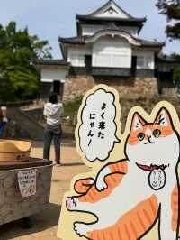 Bitchu Matsuyama Castle
