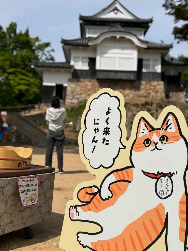Bitchu Matsuyama Castle