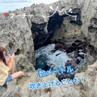 意外と知られていない！沖永良部島の魅力発見👀