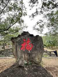 Discovering Hainan’s Ancient Volcanoes at Leiqiong Geopark 🌋