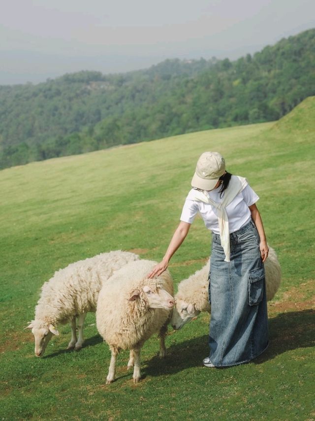 Hidden Gem in Chiang Rai