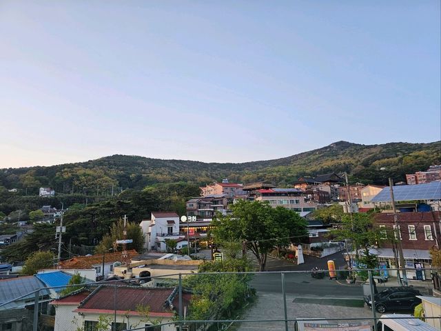 🇰🇷부산 마운틴뷰 카페 추천