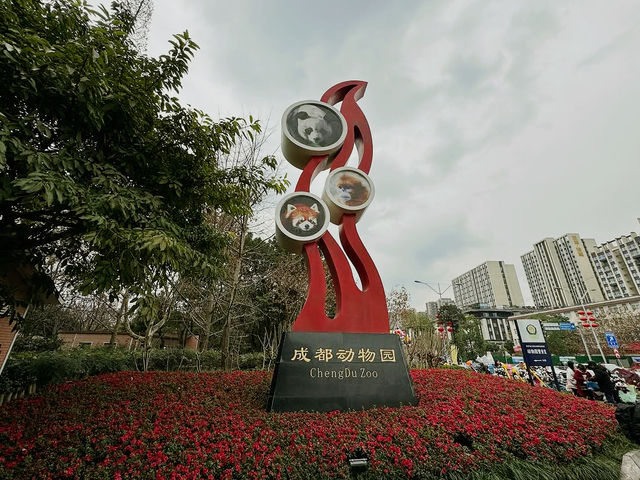 Chengdu Zoo 
