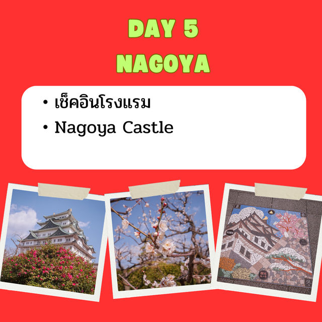 แจกแพลนเที่ยว โตเกียว นาโกย่า 6 วัน 5 คืน🇯🇵