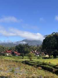 The majestic Toraja