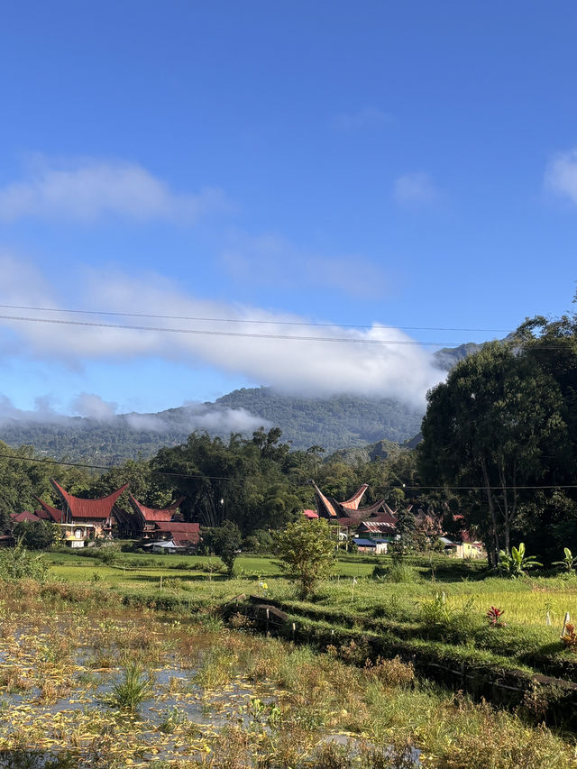 The majestic Toraja