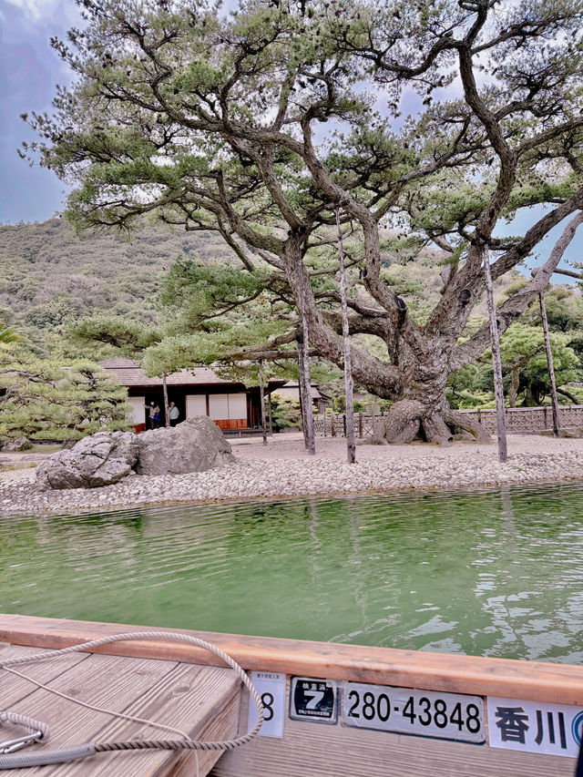 일본에서 가장 좋았던 여행지 🇯🇵