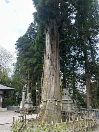 パワースポット戸隠神社