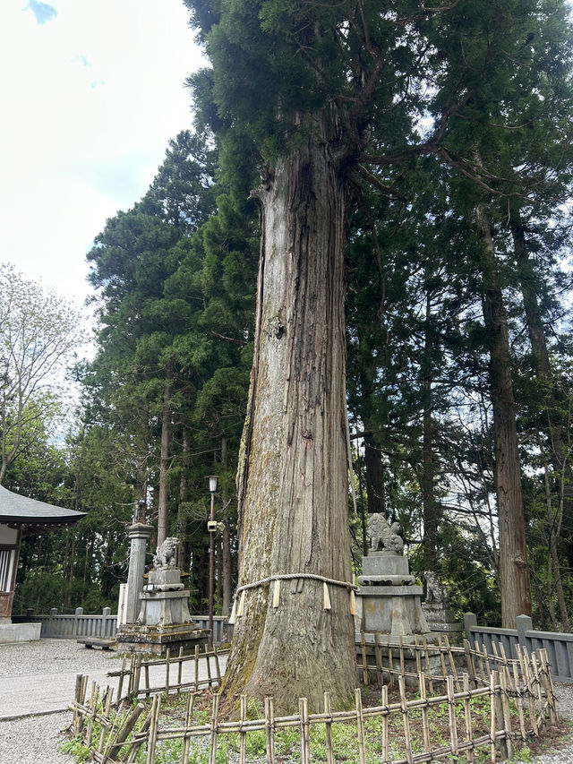 パワースポット戸隠神社