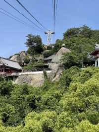 風鈴聲中眺望尾道大橋-千光寺