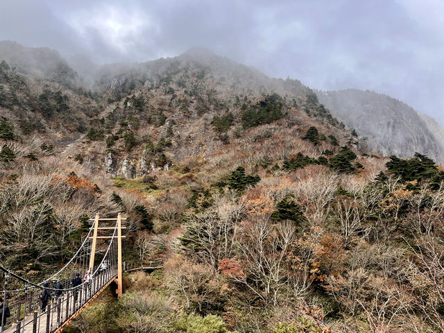 Conquering Hallasan: 10 Hours Across Jeju’s Majestic Peak