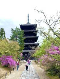 京都　京都観光　京都観光攻略はコレだ！