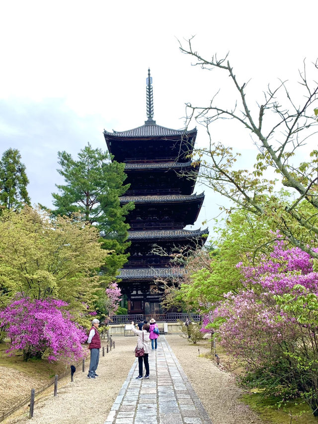 京都　京都観光　京都観光攻略はコレだ！